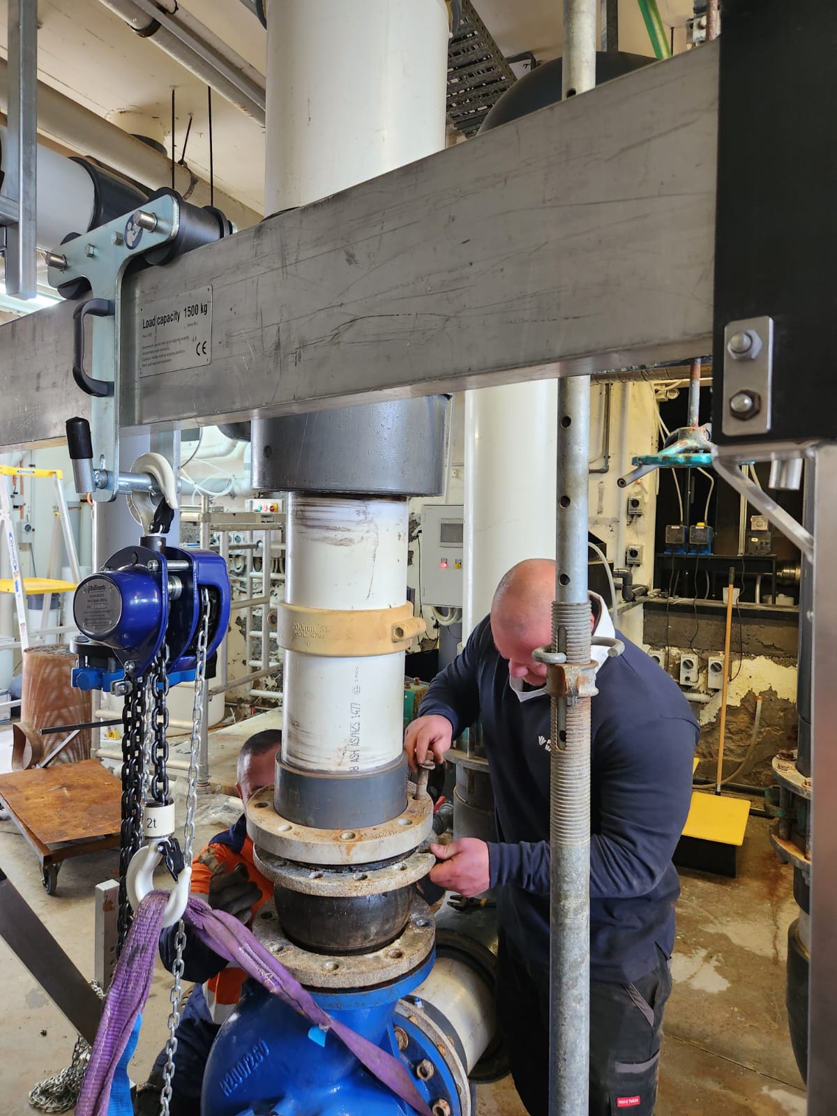Diaphragm and Vertical Pumps for Industrial and Residential Water Management in Auckland